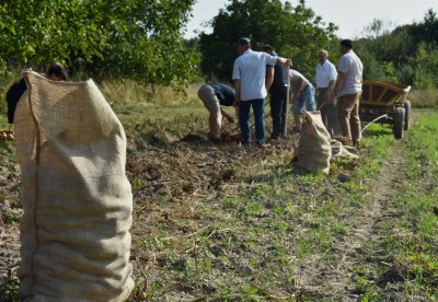 Kultura, Tradycja i... Placki 2025